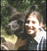 Chilean camels are friendly